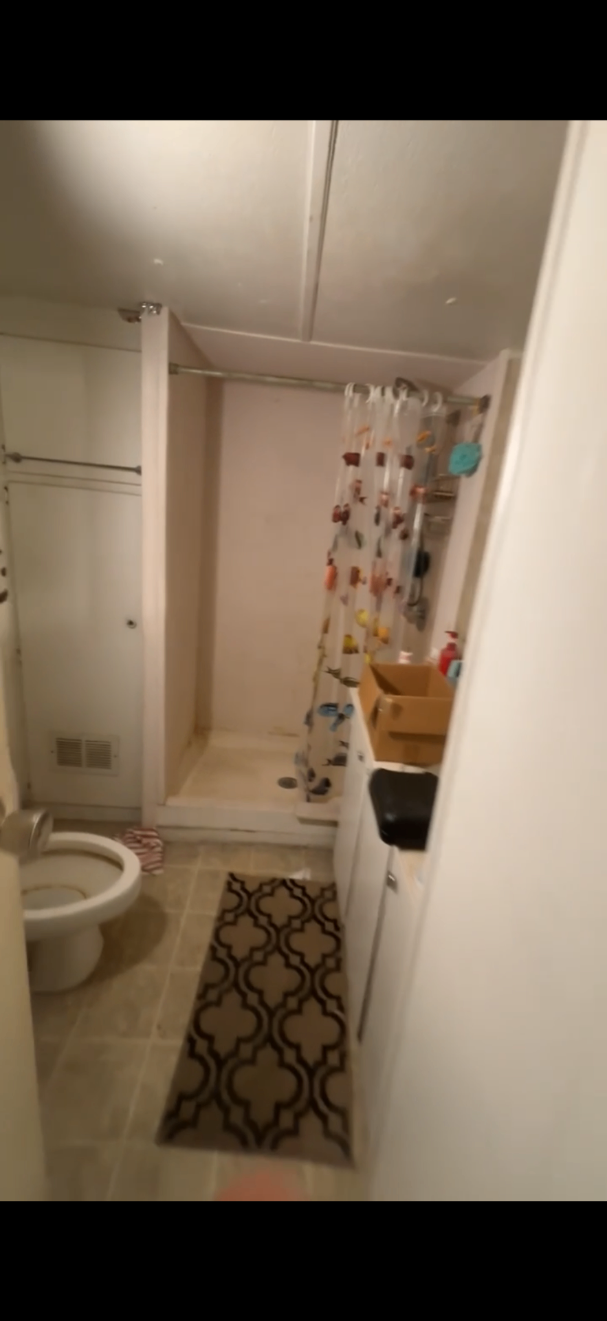 Bathroom Refresh — before